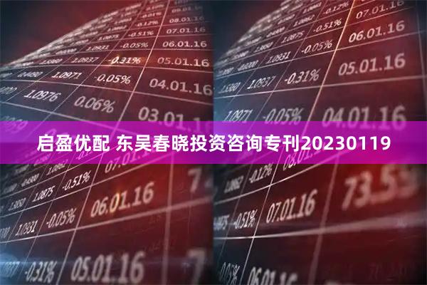 启盈优配 东吴春晓投资咨询专刊20230119