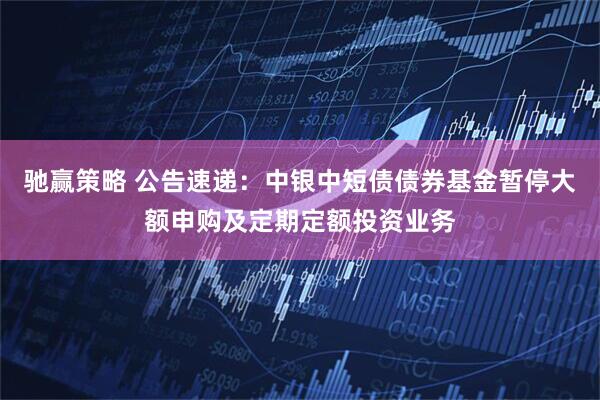 驰赢策略 公告速递：中银中短债债券基金暂停大额申购及定期定额投资业务