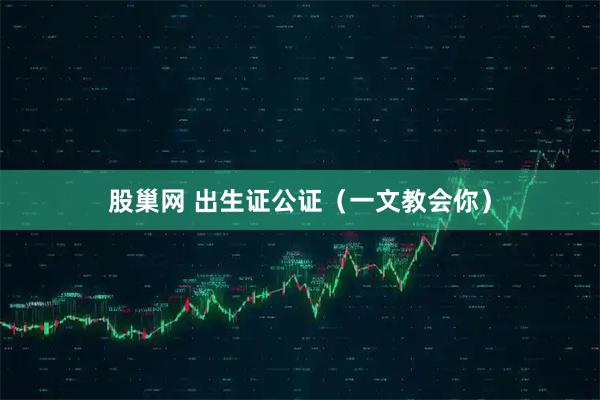 股巢网 出生证公证（一文教会你）