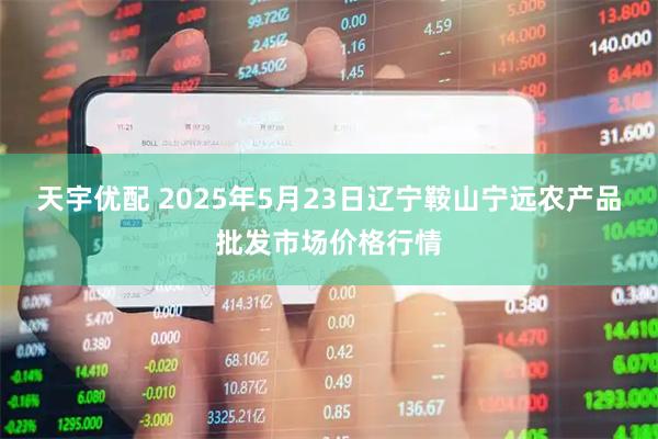 天宇优配 2025年5月23日辽宁鞍山宁远农产品批发市场价格行情